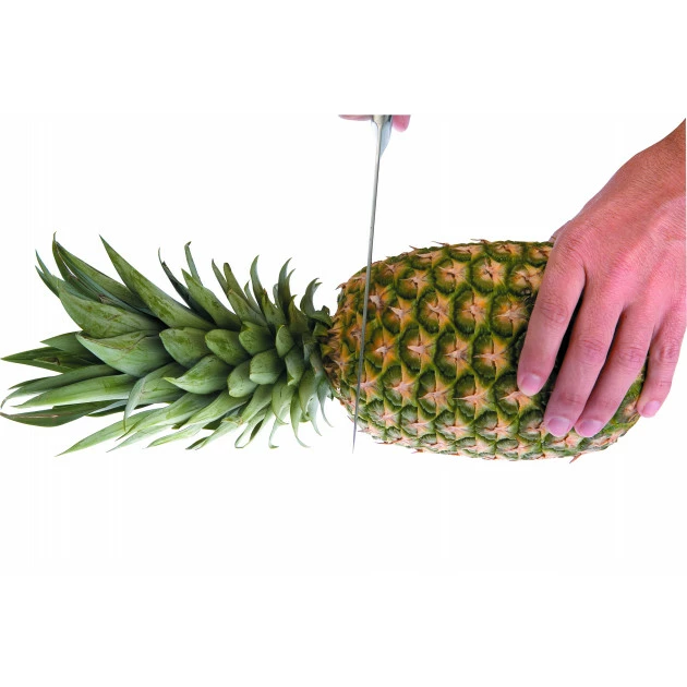 Top 10 🤩 Coupe Ananas Plastique Ø 8,5 cm x H 25 cm Ibili 🥰 5 Top 10 🤩 Coupe Ananas Plastique Ø 8,5 cm x H 25 cm Ibili 🥰 – Image 3